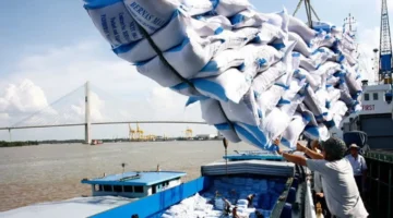 الفحم والأرز.. توصيات جديدة من وزارة الصناعة الإندونيسية لتغيير مسار سياستها الاقتصادية